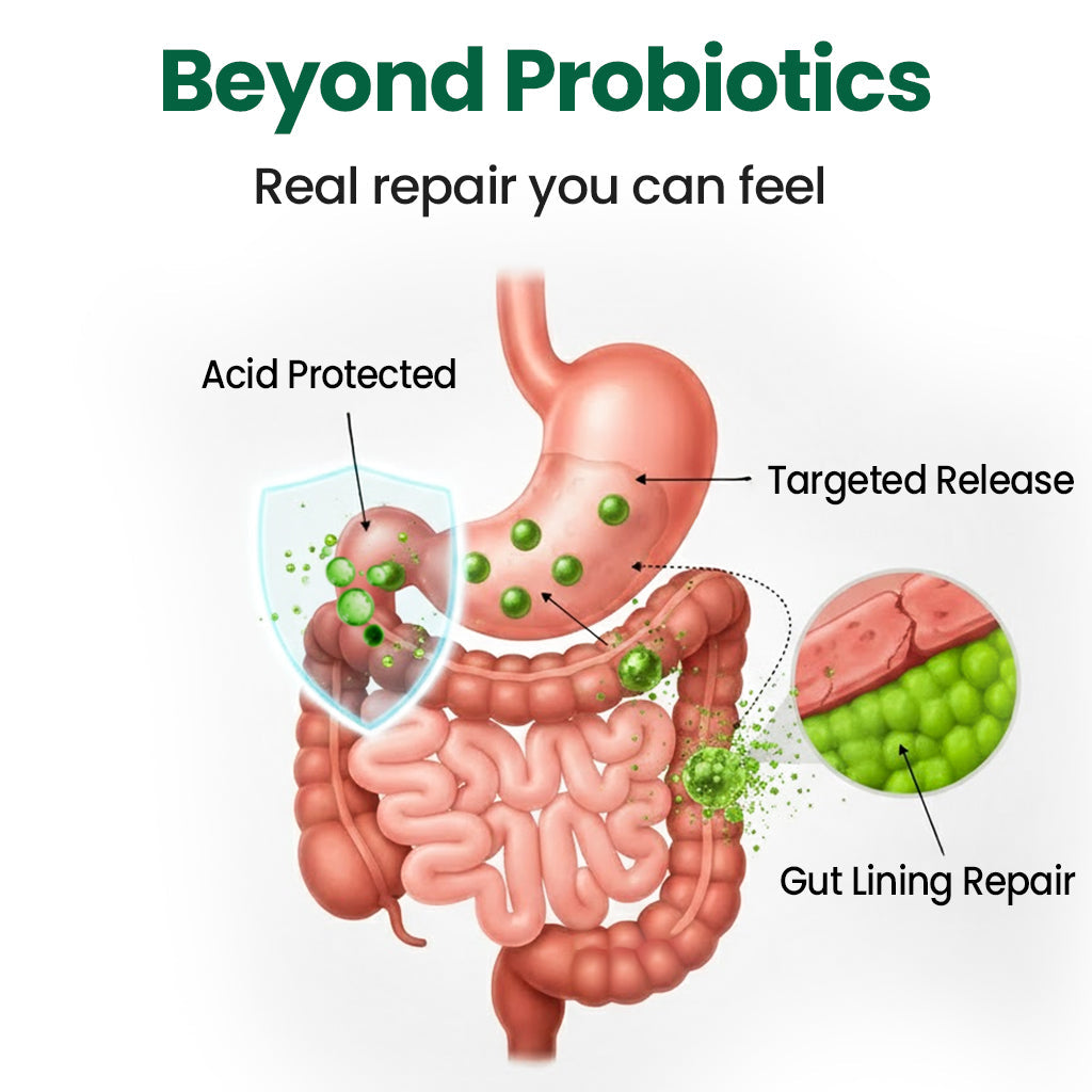 AAFQ® BPC-157 Gut Repair Beadlets — 5 Min Relief, 3 Day Regularity, 4 Week Repair