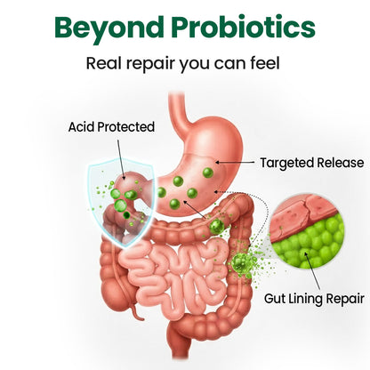 AAFQ® BPC-157 Gut Repair Beadlets — 5 Min Relief, 3 Day Regularity, 4 Week Repair